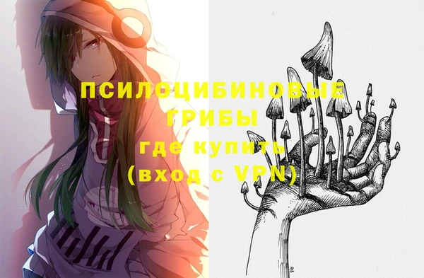 соль ск Абдулино