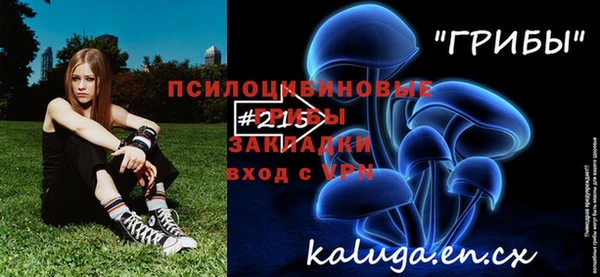 бошки Няндома