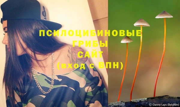 амф Абаза