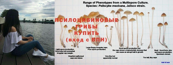 spice Абинск