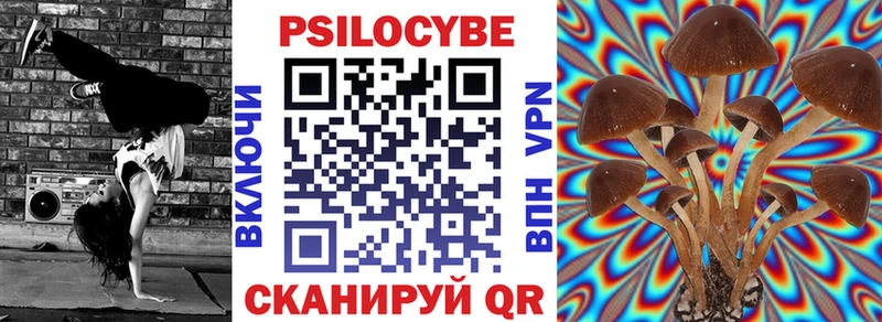ОМГ ОМГ ССЫЛКА  где продают наркотики  Покачи  Галлюциногенные грибы Psilocybine cubensis 
